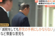 【悲報】自民党「消費税下げても野党の手柄にしかならないからやだ！😡」