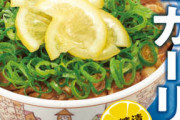 【朗報】すき家の期間限定メニュー「ねぎ塩レモン牛丼」くっそ美味いwuwuwuwuwuwuwuwuwuwu
