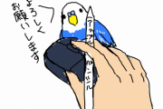 一羽だけやたらペンの先とかで頭カキカキしてもらうの好きなのがいて