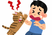 【画像】猫さん、病院で大暴れしガッチガチに拘束される →