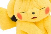 【画像】Amazonで『しわしわピカチュウ』を買った結果ｗｗｗｗ