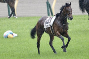 【悲報】東京7Rで横山武史さん下馬してしまう