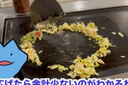 YouTuber「言葉にならないくらいまずい、酸っぱいと評判のもんじゃ屋に行って食べてみた」 → 出てきた1150円のもんじゃがこちら…