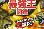 【驚愕】最強生物ヒグマにタイマンで勝てる動物一覧がこちらｗｗｗｗ