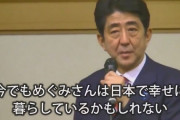 2分位の短い動画です。最後までご覧ください。あの時少しの動きで横田めぐみさんは日本にいられた・・、政府は知っていた。