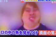 【悲報】テレビ、へずまりゅうをまるでガイのように取り上げてしまう