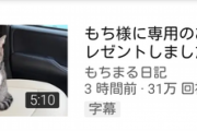 【速報】もちまる日記さん、もち様専用の車をプレゼントしてしまう