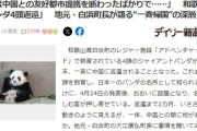 【和歌山パンダ返還は報復確定】白浜町長が証言「契約は動物園の極秘、行政トップの私も分からない。私は台湾外交が軸で友好都市提携を断わった。そしたらこれですわ」