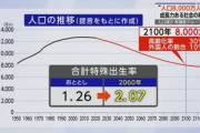 【悲報】有識者､日本の人口問題で政府に提言｢2100年に8000万人目指すべき｣