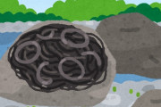 石の上で蠢くヤバそうな生物　海外で発見されTwitterで話題に　なんじゃこりゃああああああああ