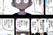 【ワンピース】ロロノア・ゾロさんの過去だけあまり悲惨じゃないと話題になるｗｗｗｗｗｗｗｗｗｗｗｗｗ