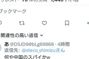 パヨクが世界に広まってキレてる？　〜　パさん「日本に必要なのはスパイ防止法ではなくNetuyo（ネトウヨ）防止法」