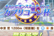 【ウマ娘】次のチャンミは中京・芝1200の短距離だぞおおおおおおおお