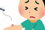 蚊にさされたら冷やす？温める？　→　どっちが効果的なのか専門家に聞いてみた結果・・・