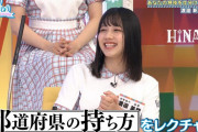 ミホ・ワタナベの仕込みのクオリティが高すぎてワロタｗｗｗ【日向坂46】