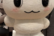 藝大卒展の「かわいくて、あなたを不快にさせないマスコット」が話題に