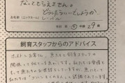 女さん「ホストに1千万使っても振り向いてもらえません助けて」水族館「なるほど」