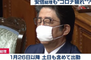 安倍ちゃん、新型コロナ発生から4ヶ月休みなしで働き続けるてるのに支持率下げられて可哀想と話題に(´・ω・｀)