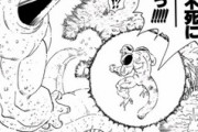 ドラゴンボールで不老不死を望むやつはニワカだよな