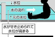 水深10センチでも子ども溺れる、京大実験がヤバい・・・