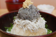 生しらすとかいう伝説の食べ物ｗｗｗｗｗｗｗ