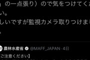 町山「外国人ヘイトを拡散するつるの剛士が賛美される日本でオリンピックは可能なのでしょうか」 |  キチがいは相手にすんな