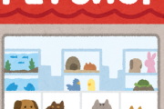 ペットショップでイッヌネッコ飼うのってそんなあかん事やったんやな…