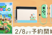 ワイ「あつまれ どうぶつの森」特別デザインSwitch本体が欲しすぎる