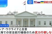 【速報】世界よこれがトランプの交渉術だ「黒海での安全航行確保し武力行使を排除で双方が米国と合意」発表　次はエネルギー攻撃停止合意に進む模様