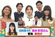 【日向坂46】『一夜づけ』元祖おたけと共演きたｗｗｗｗｗｗｗｗｗｗｗｗ