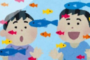おれが買う熱帯魚を決めてもらうスレ