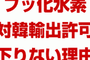 【速報】韓国向けのフッ化水素輸出許可が下りない本当の理由がやばすぎた！　これガチなら一生入手不可能だろ…