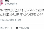 【スマブラ】？「VIPに増えたピットシバくと軒並み切断するのおもろい」
