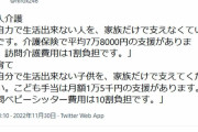 ひろゆき氏が疑問視 / 老人介護1割負担なのに「訪問ベビーシッター費用10割負担」
