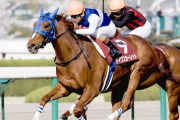 歴代牝馬で東京芝1600、大井D2000、中山芝2500の3番勝負したら？