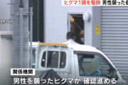 射殺された熊、熊違いで殺された可能性大...