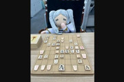 フリーレン公式「長考のフリーレン」と将棋の画像を投稿→「玉がない」「適当すぎ」「将棋初心者か？」→実はフリーレンらしいめっちゃ粋な盤面だった！
