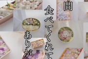 【画像】6年間この弁当食わされてた娘ｗｗｗｗ