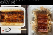 【画像】Uber Eatsでうな重頼んだら写真と全然違うの届いたｗｗｗｗｗｗｗｗｗ