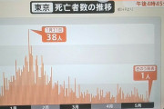 新型コロナ死亡者数推移 一人　※東京都の人口は1396万人です、百合子パイセンが、２年で都の貯金を9000億円から20億円まで使った成果です！