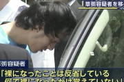 警察「草なぎ剛が公園で全裸ででんぐり返ししながら絶叫した！？絶対薬やっとるやろ！ｗ」