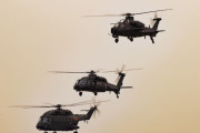 中国陸軍航空旅団に所属するZ-20汎用ヘリ・WZ-10攻撃ヘリなどが飛行訓練を実施！