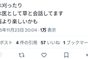syamuさん、ついに樹木医になる