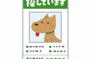 ツイッタラーさん「犬が行方不明になりました！私の犬を保護した人に懸賞金○○○万円差し上げます！」 ← 金額がヤバイ…