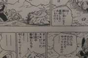 【ドラゴンボール】セル「余計なお世話だ、出来損ないめ」ｸﾞｼｬ 悟飯「…」
