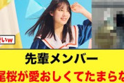 先輩メンバー、松尾桜のことが愛おしくてたまらない！【日向坂46】