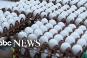 米：卵価格が異常な急上昇…1パック1400円以上の場合も…結構な大騒ぎに[海外の反応]