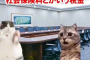 【動画】社会保険料の闇、猫ミームによって暴かれる……
