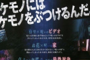 【悲報】「激詰め上司に指摘されたら○○と言い返せば相手もひるむのでオススメ」→バケモノにはバケモノをぶつけるんだと話題に