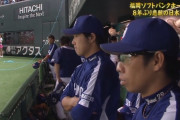 【悲報】ソフトバンクホークスさん、セリーグ全球団から笑顔を奪う